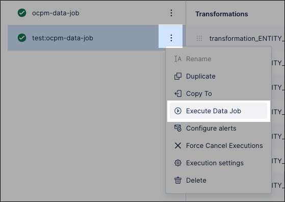 execute_data_jobs.png