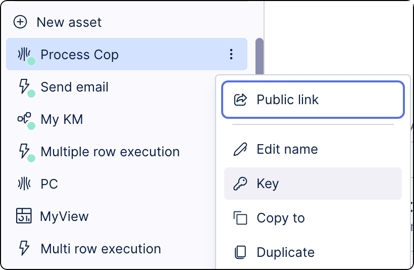 Context menu for the Process Copilot asset with the Key option selected.
